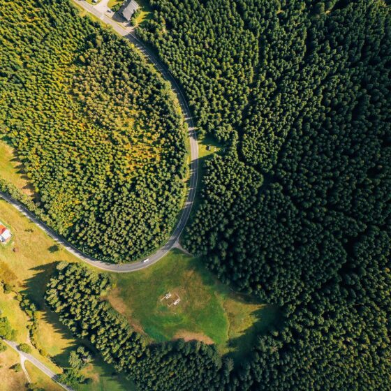 Pexels marcin jozwiak 199600 3171865